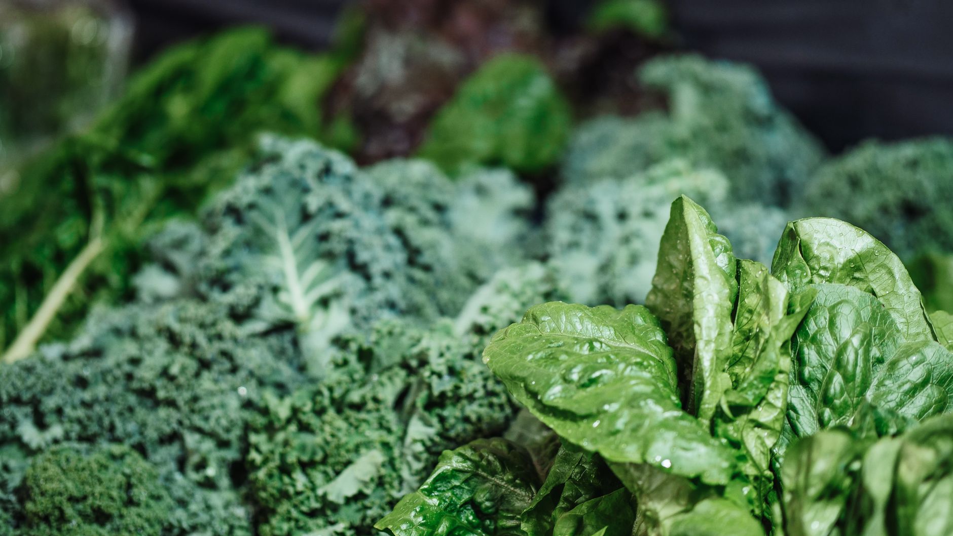 Green leafy vegetables preparing