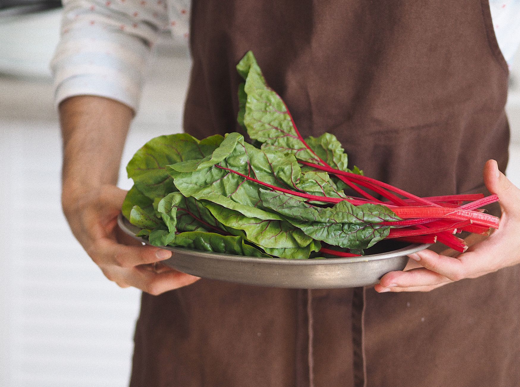 Fresh organic ingredients and healthy meals preparation