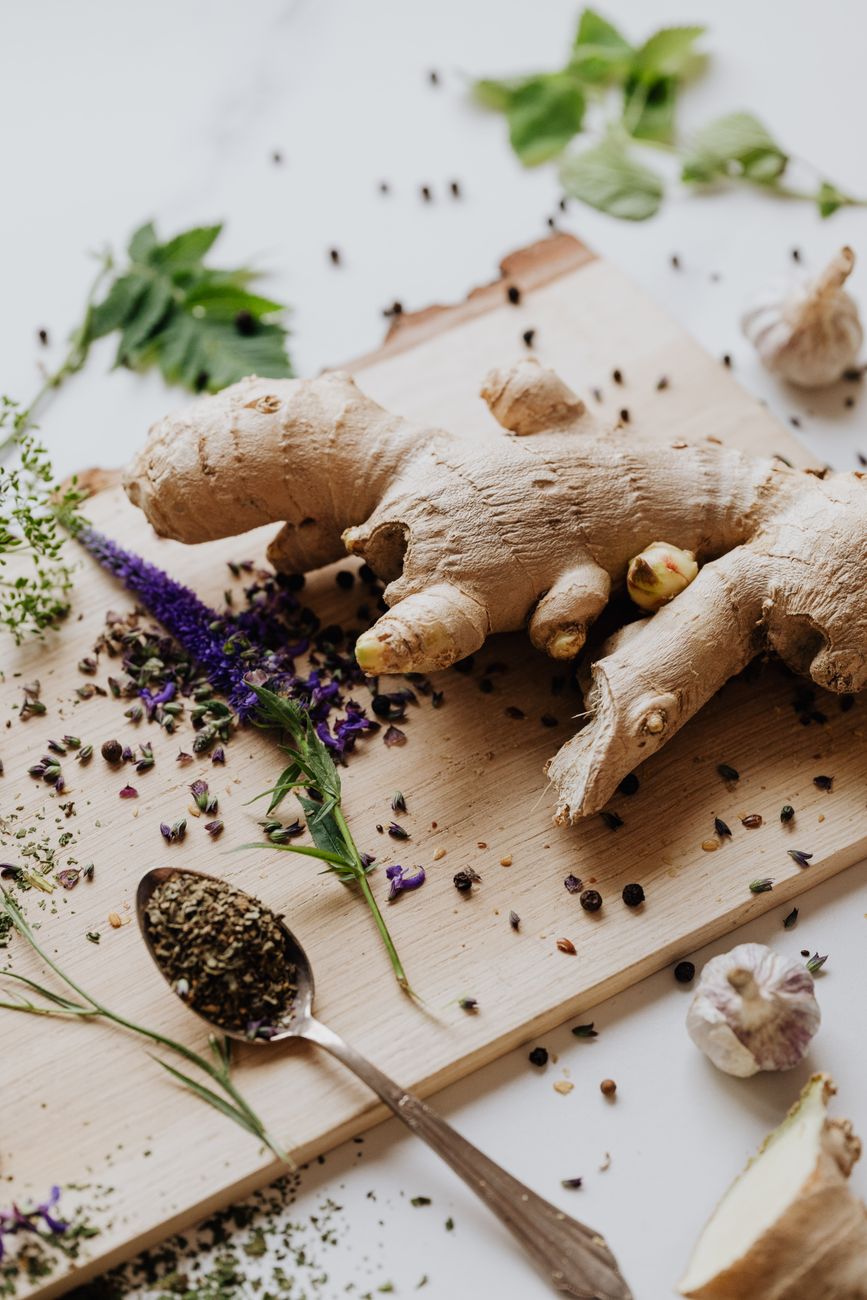 Digestive health ingredients